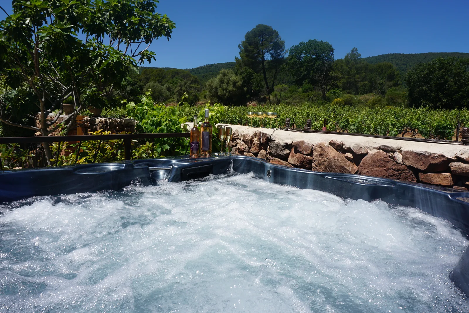 Le jacuzzi et sa vue sur le jardin