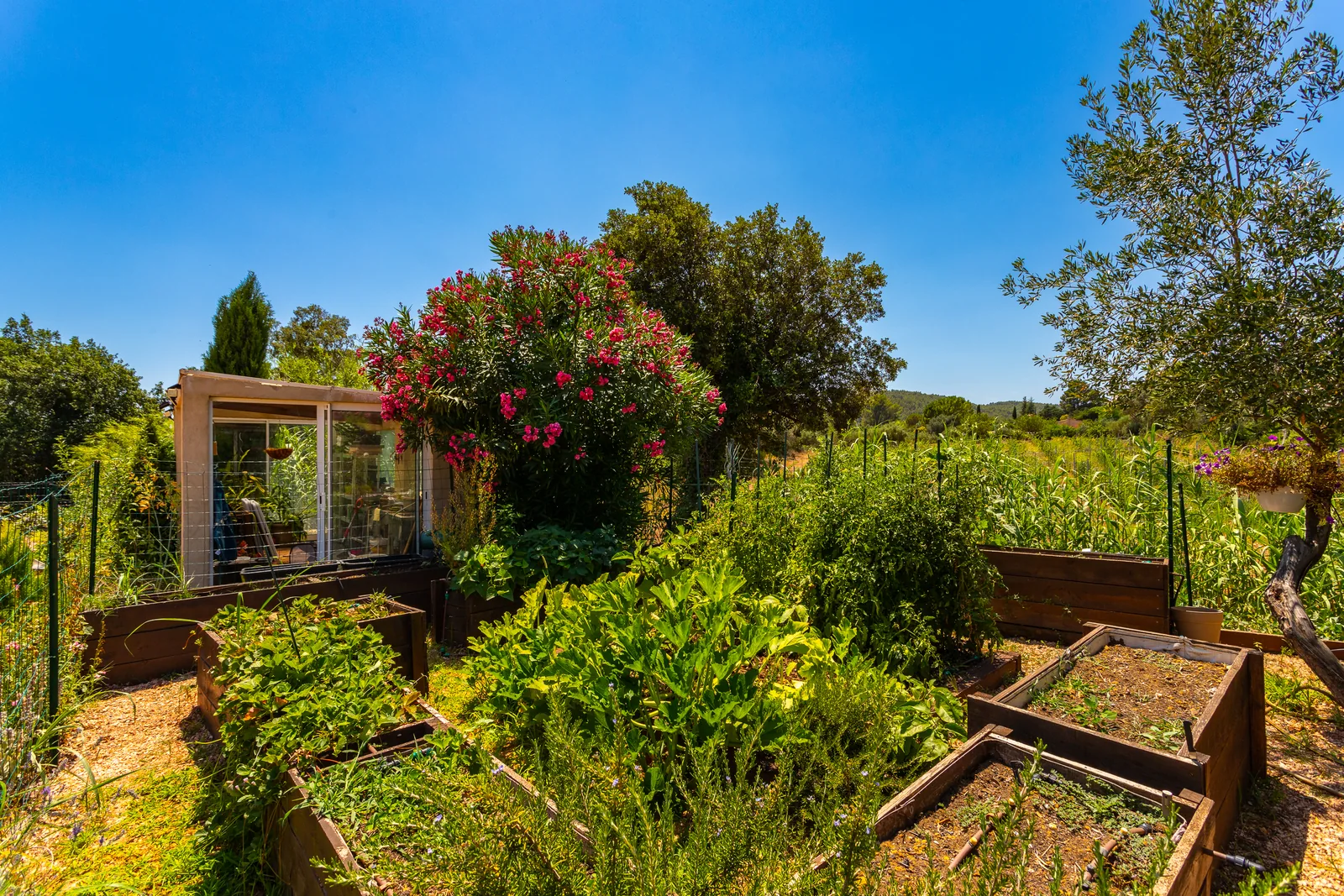 Les carrés du potager et les plantations de la bastide